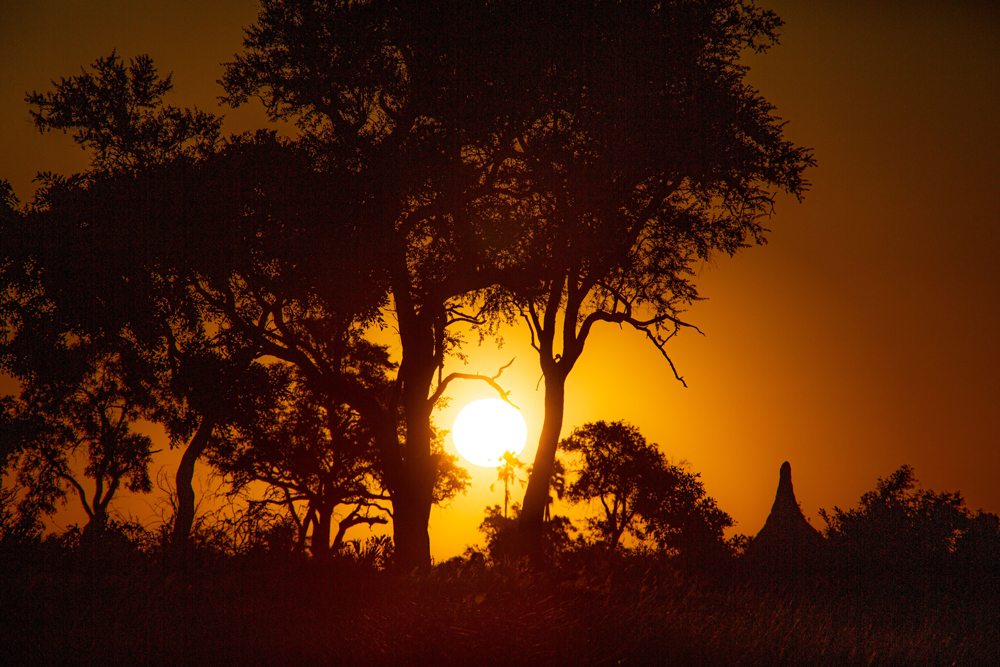 botswana sunset